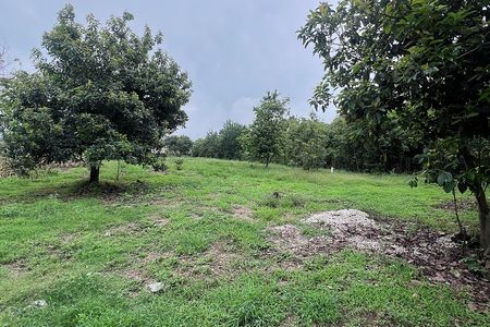 LAND FOR SALE TLAYACAPAN, MORELOS