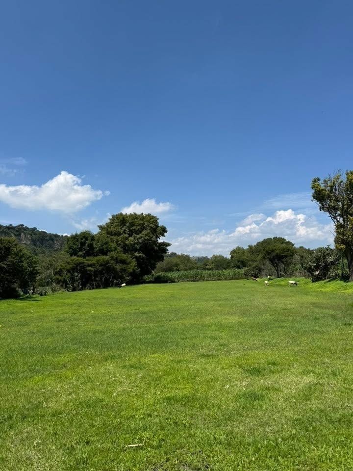 4 de 5
