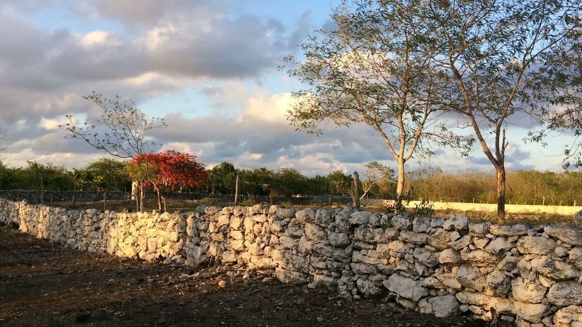 Terreno en Yaxkukul, Yaxkukul, foto 7 de 19