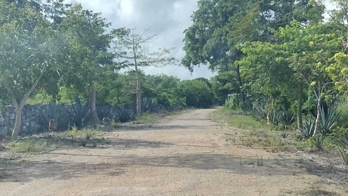 Terreno en Yaxkukul, Yaxkukul, foto 15 de 19