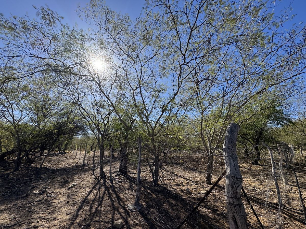 Lot in El Triunfo, La Paz, photo 3 of 13