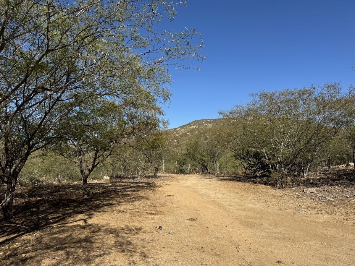 Lot in El Triunfo, La Paz, photo 12 of 13