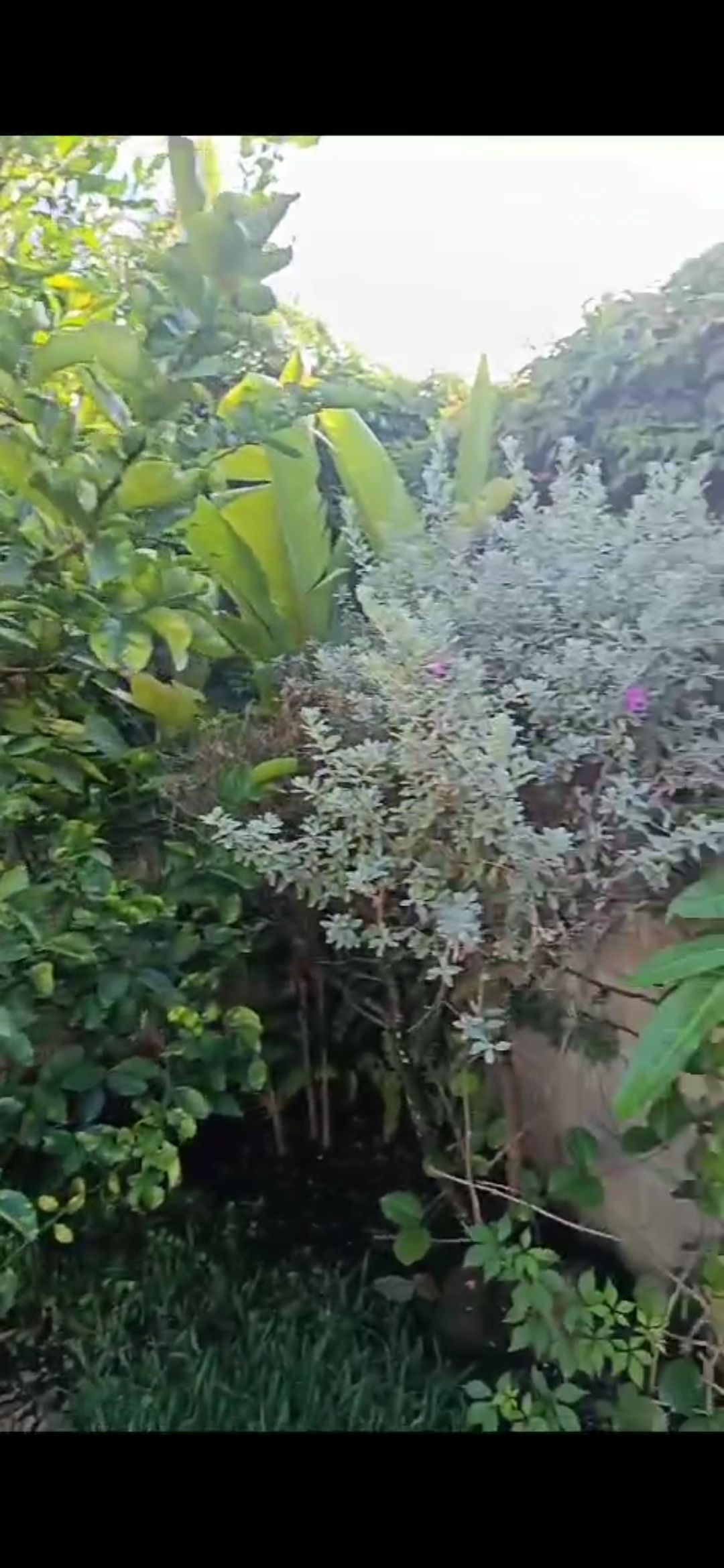 8 de 10