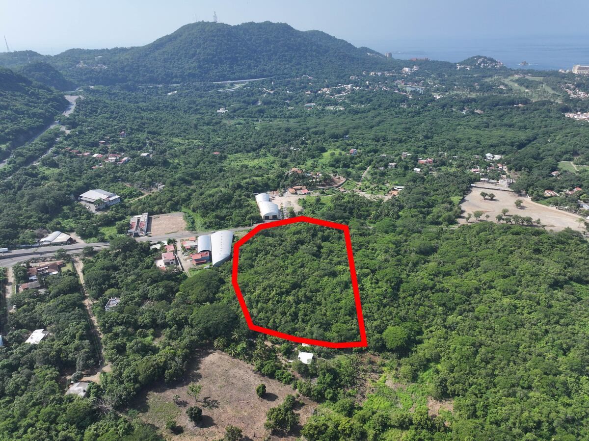 Parcela Colonia La Puerta Zihuatanejo Guerrero.