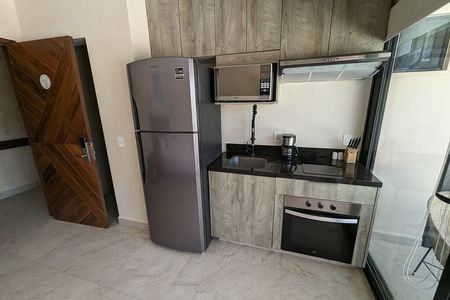 Cacao 204B
