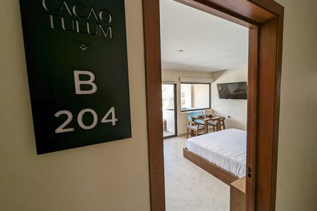 Cacao 204B