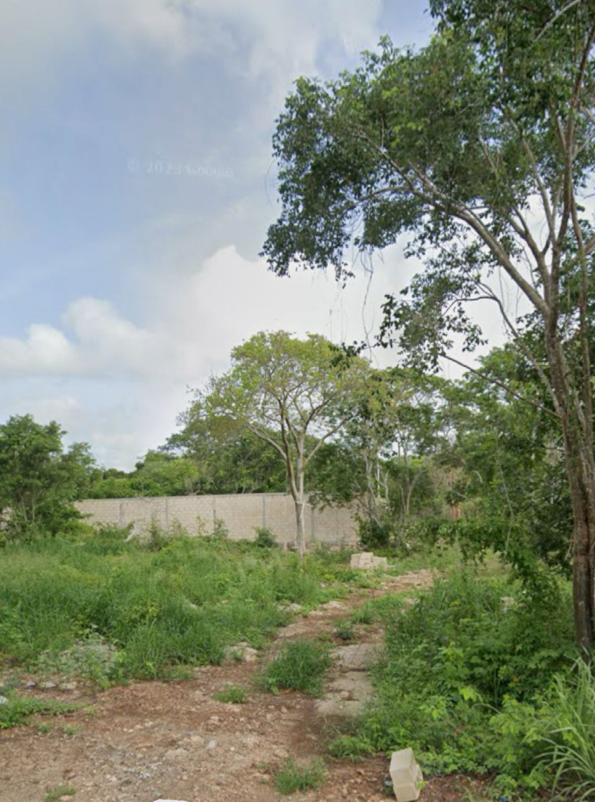 4 of 4: Terreno