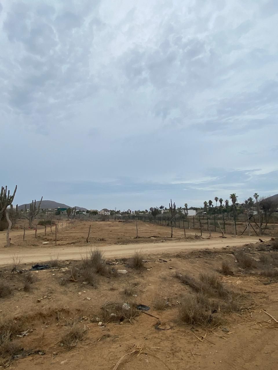 8 de 12