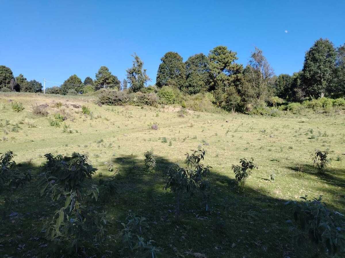 12 de 24