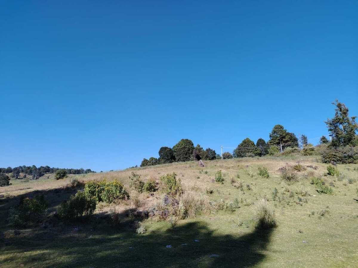 13 de 24