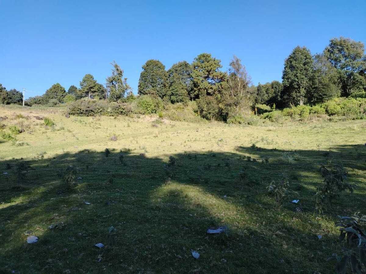 17 de 24