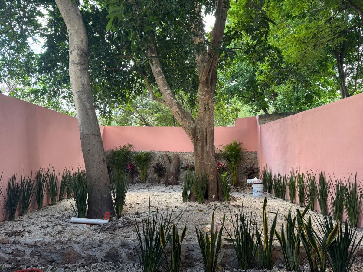 Casa en Venta de 2 Recámaras en Centro Histórico Entrega Inmediata