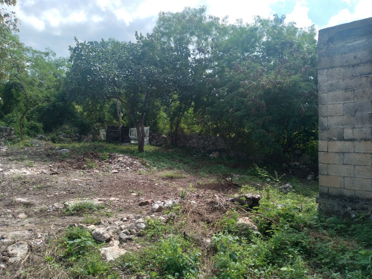 Casa en Cecilio Chi, Kanasín, foto 4 de 6