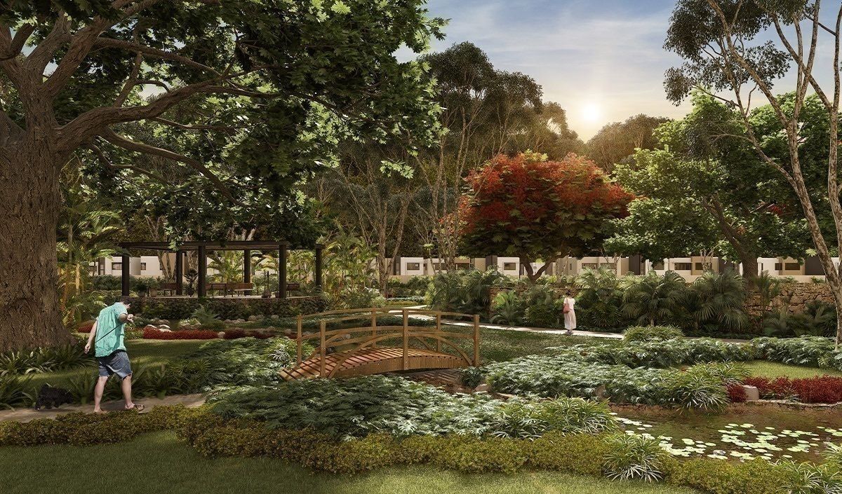 12 de 14: Andadores y Senderos