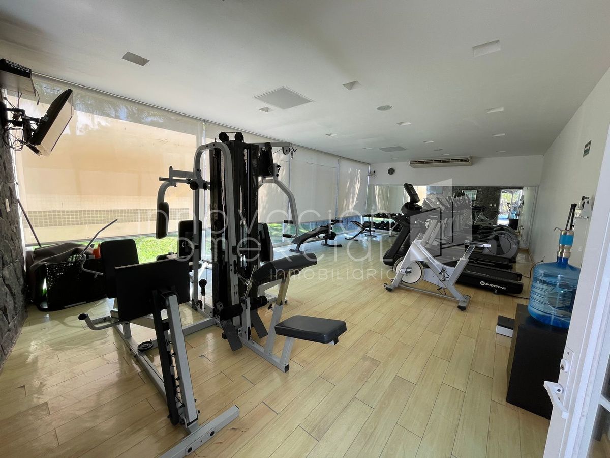 39 de 44: Gimnasio