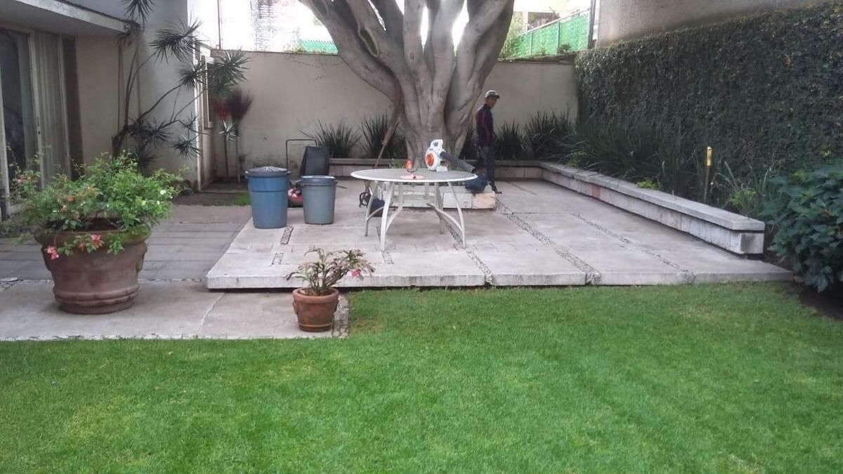 Imagen 3 de 5