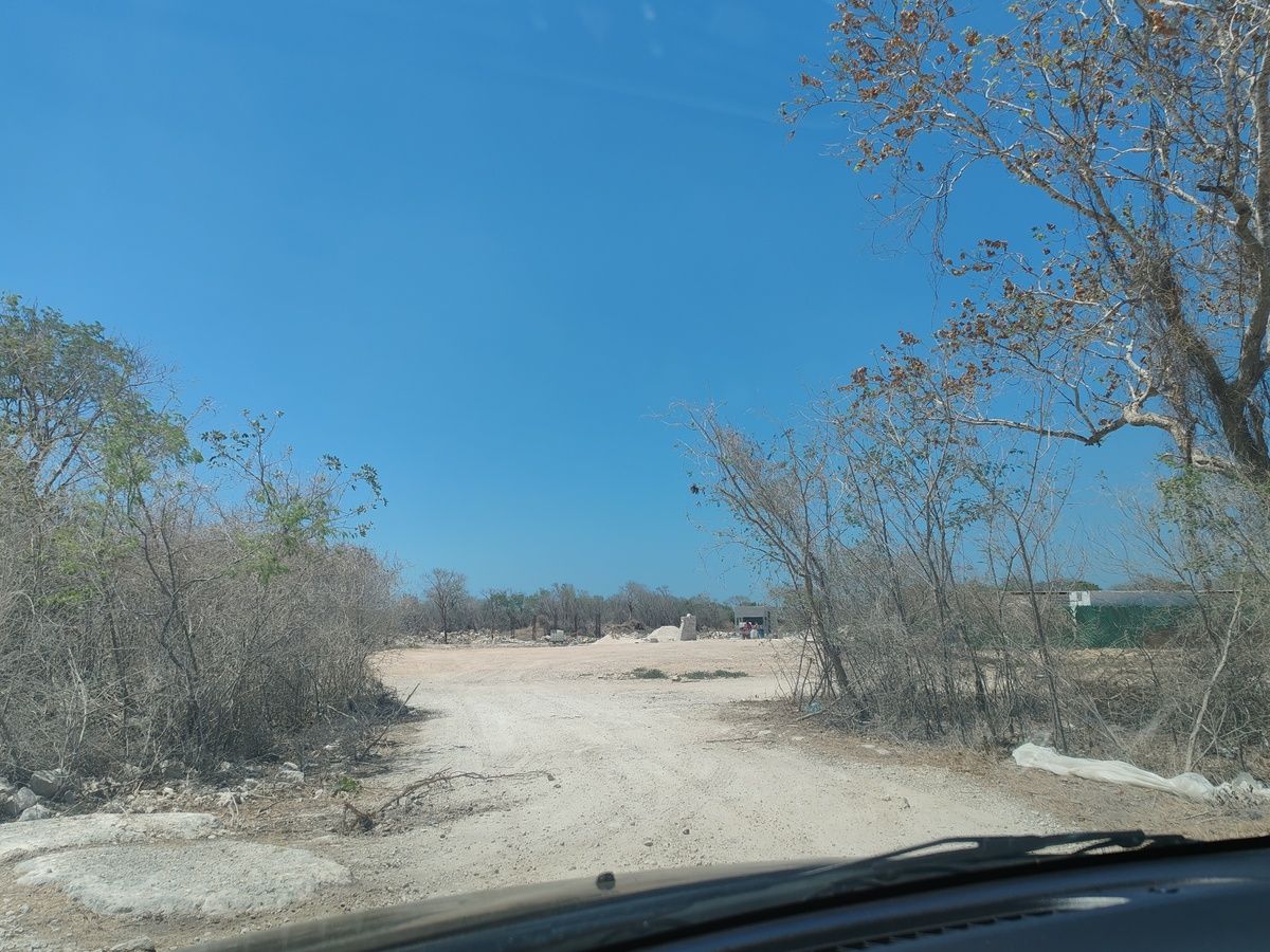 Imagen 8 de 8