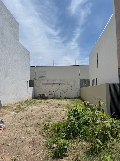3 de 10