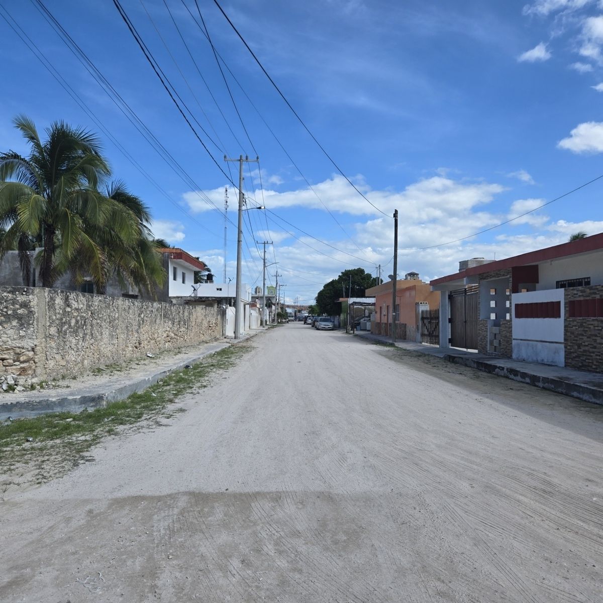 7 de 11