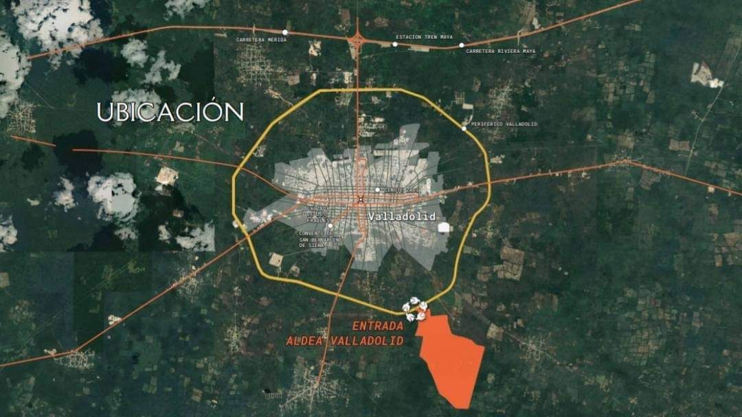 2 de 19