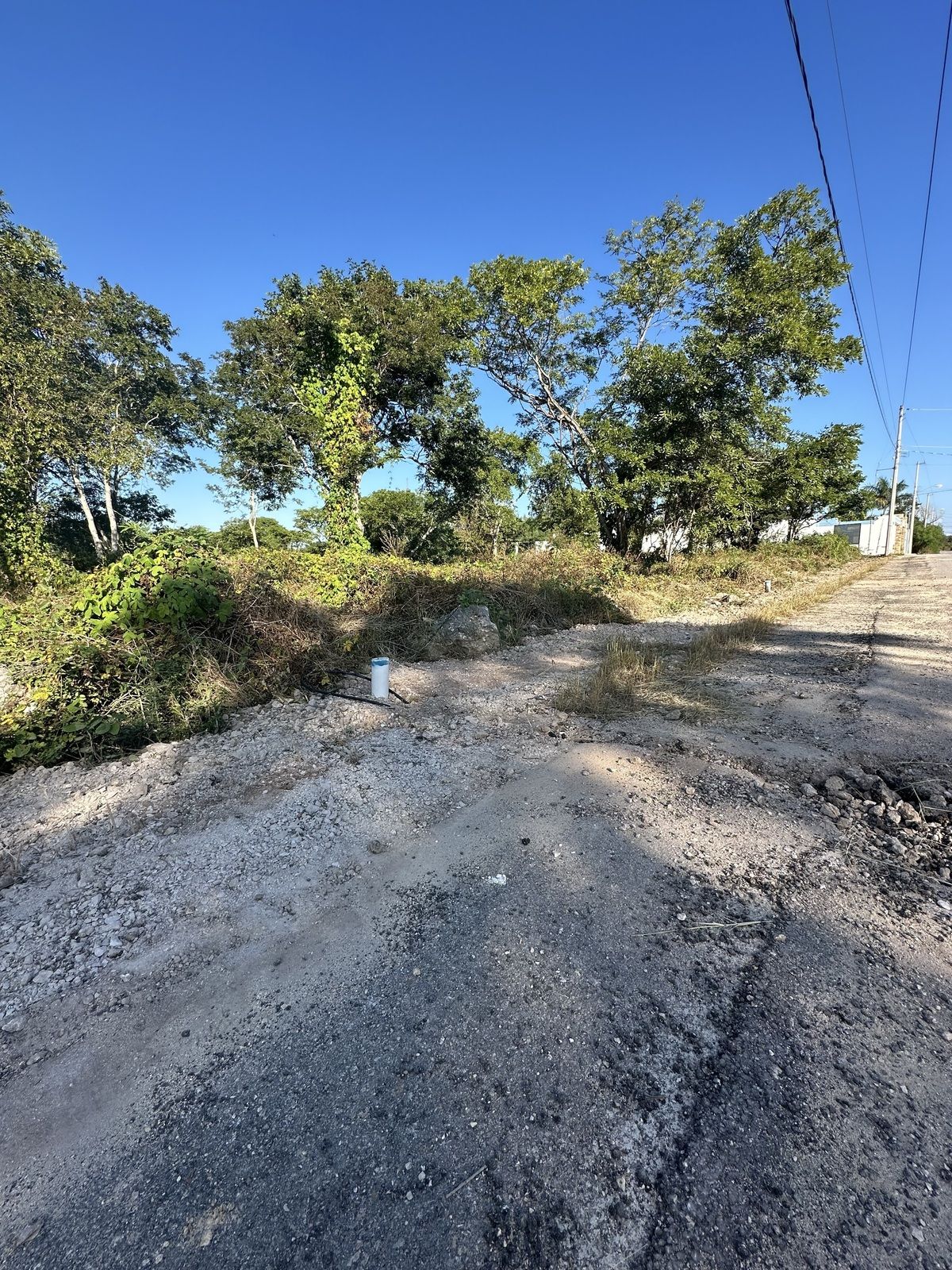 7 de 10: Delimitados con mojoneras