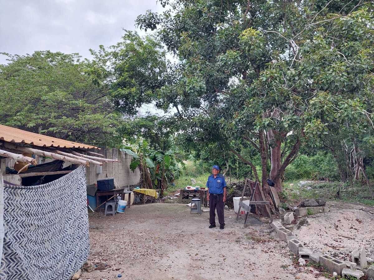 4 de 11