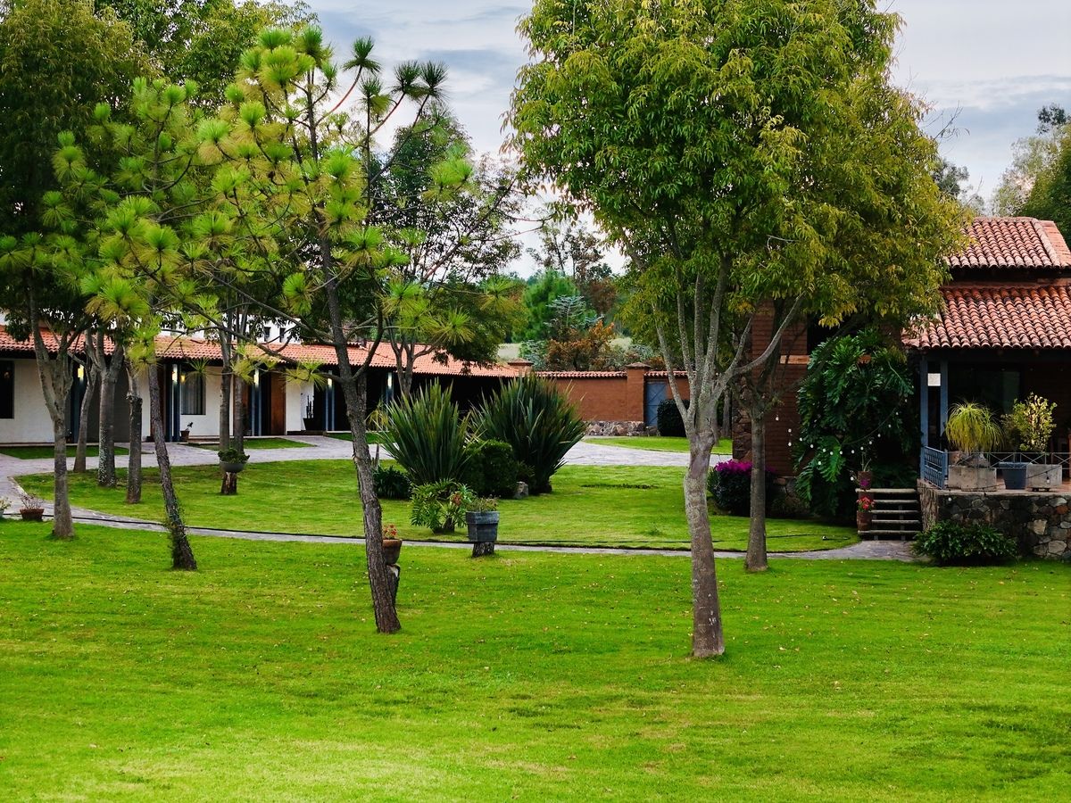 11 de 50