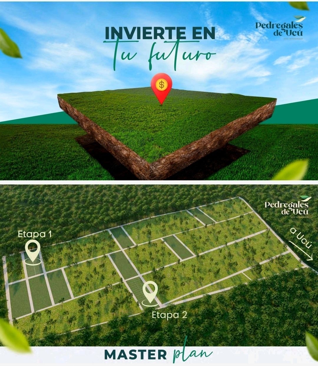 https://assets.easybroker.com/property_images/4863759/82563358/EB-RR3759.jpg?version=1731770223