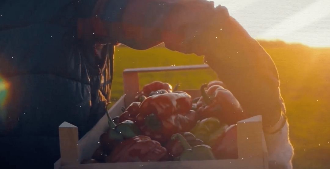 Preventa Exclusiva en San Miguel de Allende! Residencias Premium desde $11,300,0