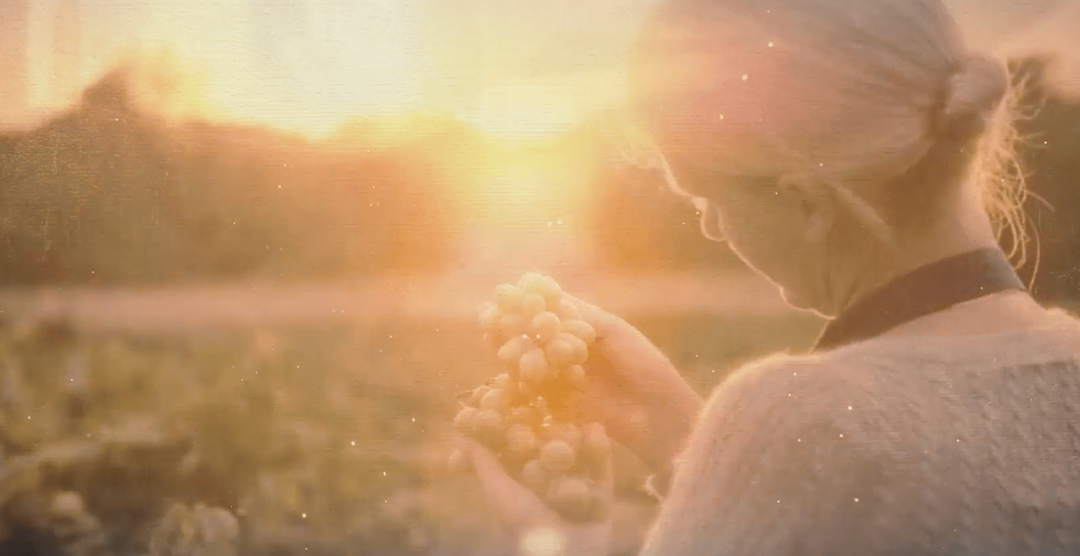 Preventa Exclusiva en San Miguel de Allende! Residencias Premium desde $11,300,0