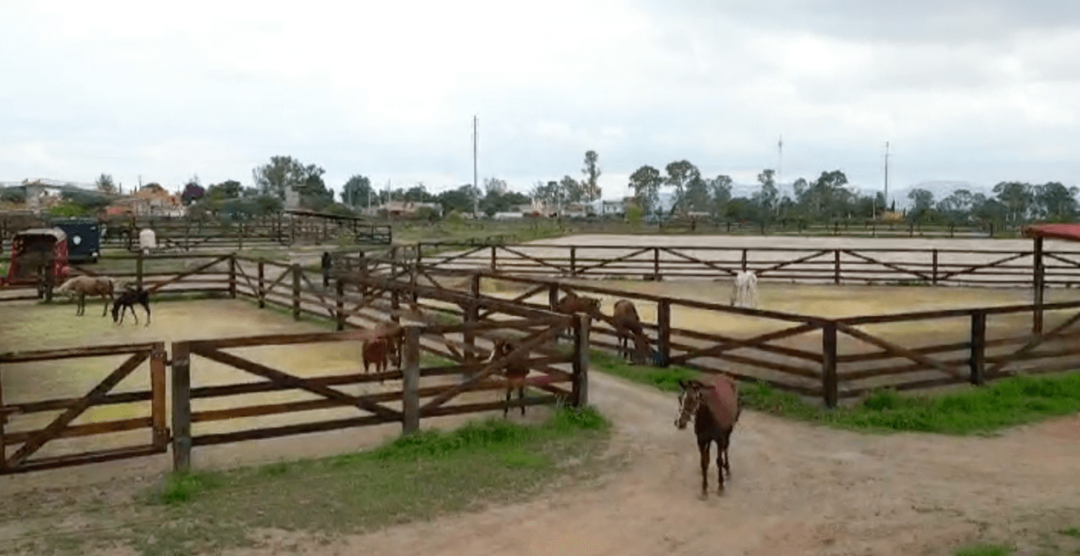 Preventa Exclusiva en San Miguel de Allende! Residencias Premium desde $11,300,0