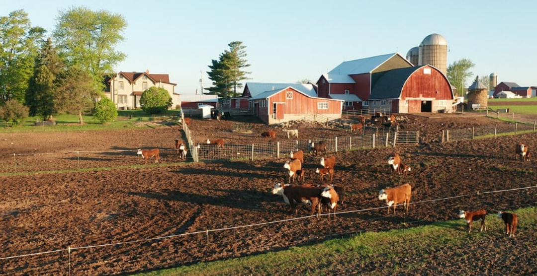 Preventa Exclusiva en San Miguel de Allende! Residencias Premium desde $11,300,0