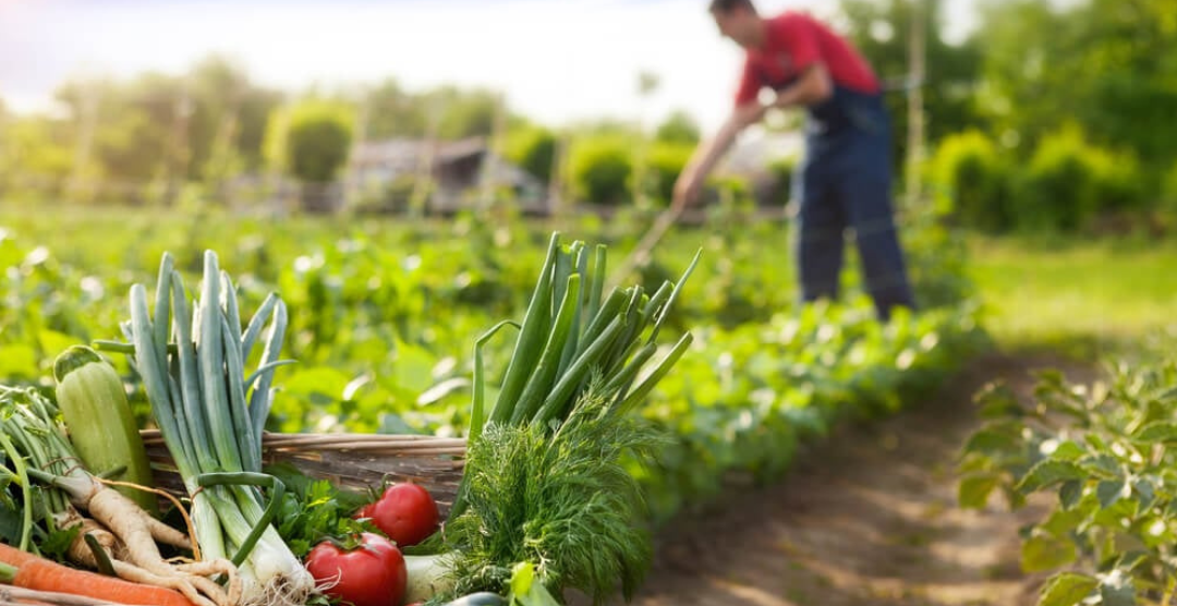 Preventa Exclusiva en San Miguel de Allende! Residencias Premium desde $11,300,0