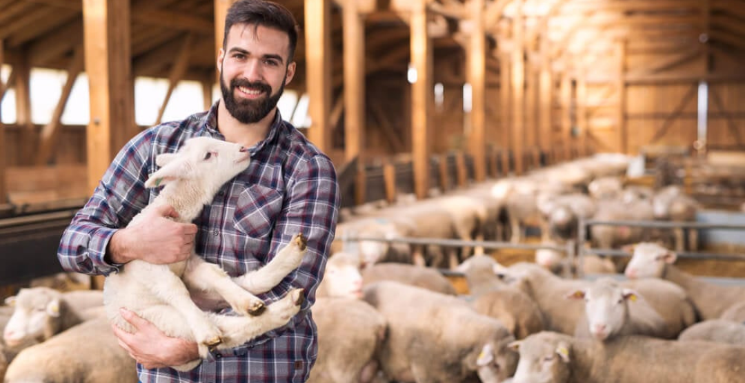 Preventa Exclusiva en San Miguel de Allende! Residencias Premium desde $11,300,0