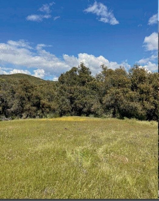 Ultimos Terrenos en Venta a Pie Carretera Oportunidad Encanto del Valle