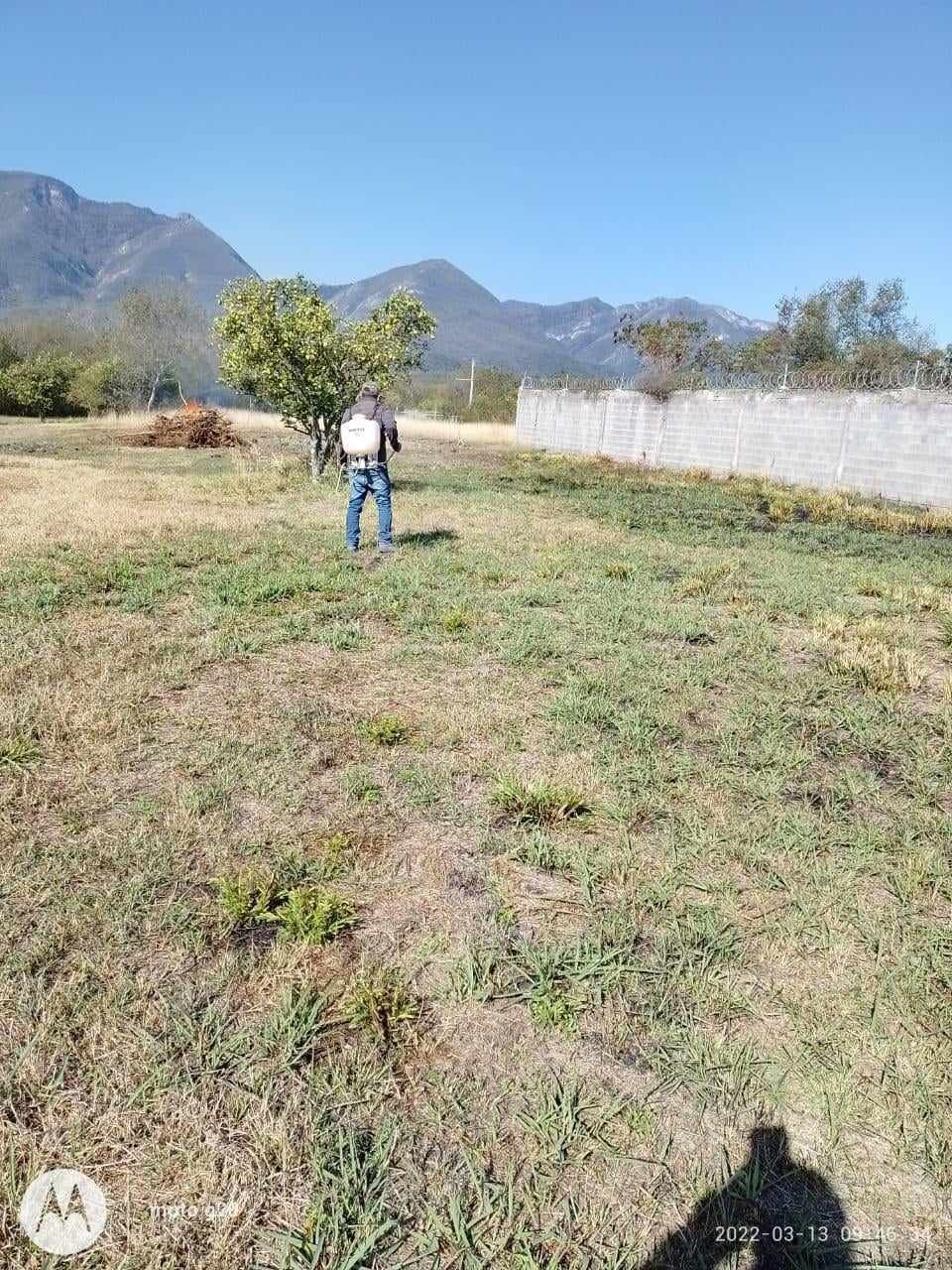 4 de 16