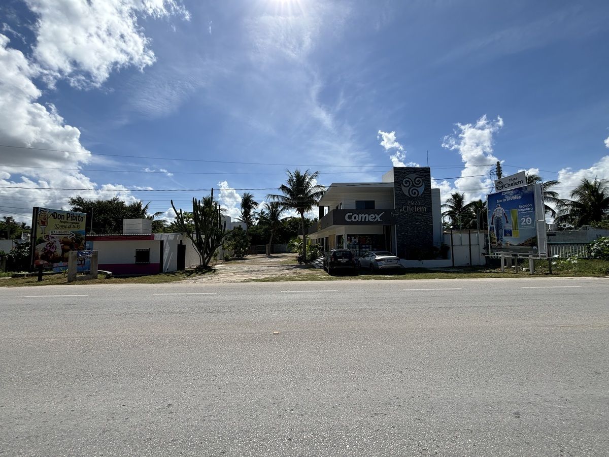4 de 12