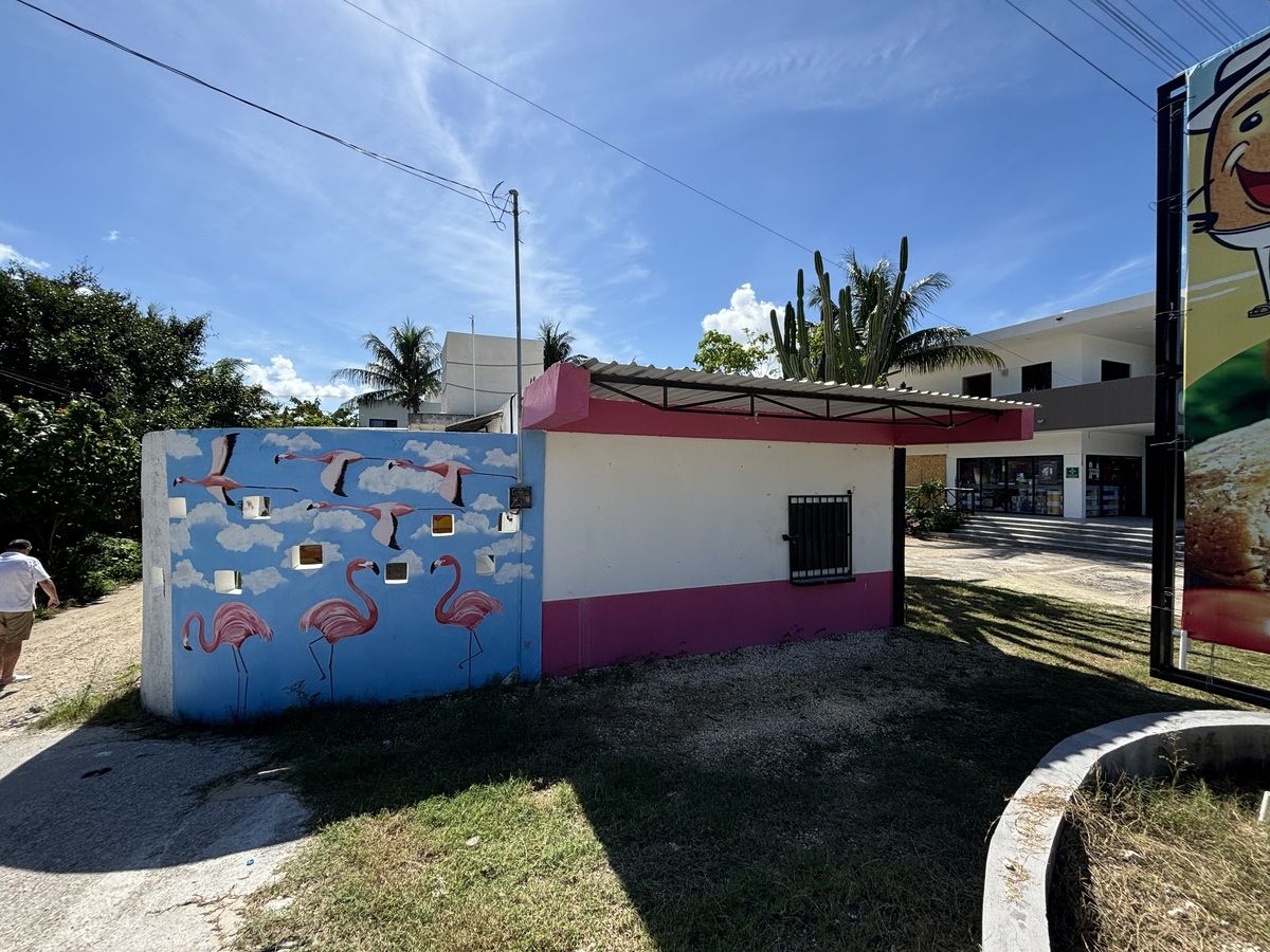 2 de 12