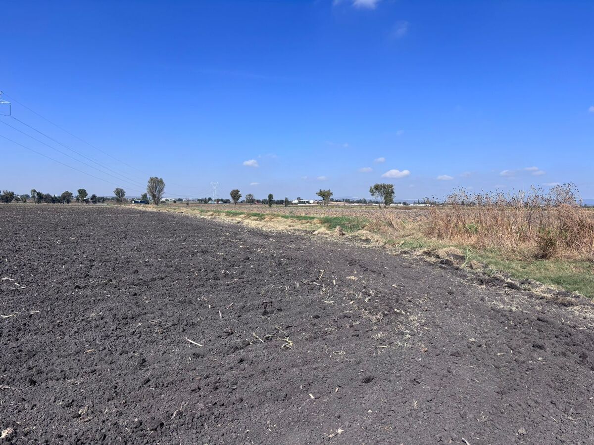 Lote em El Colorado, El Marqués, foto 2 de 12
