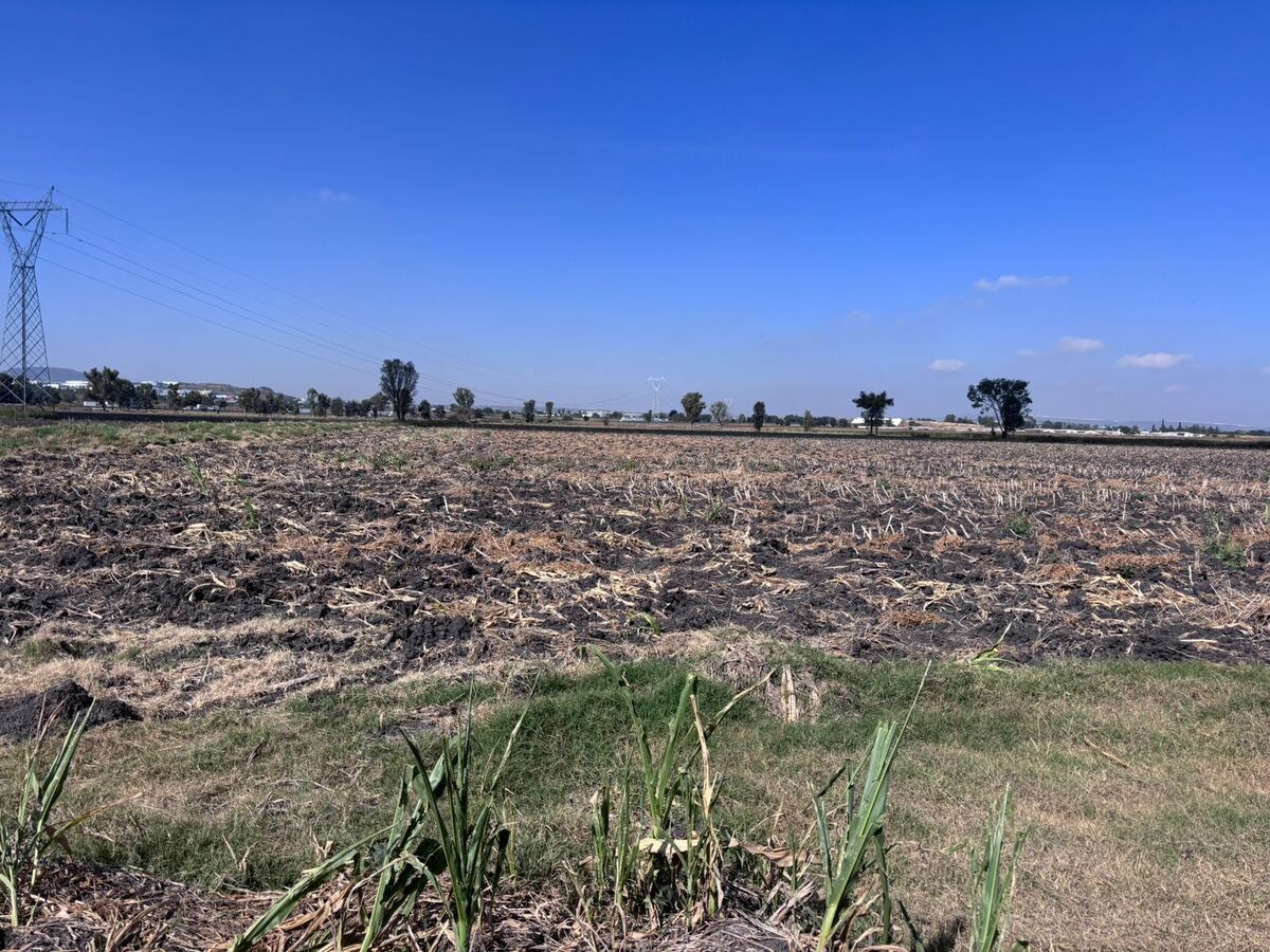 Lote em El Colorado, El Marqués, foto 3 de 12