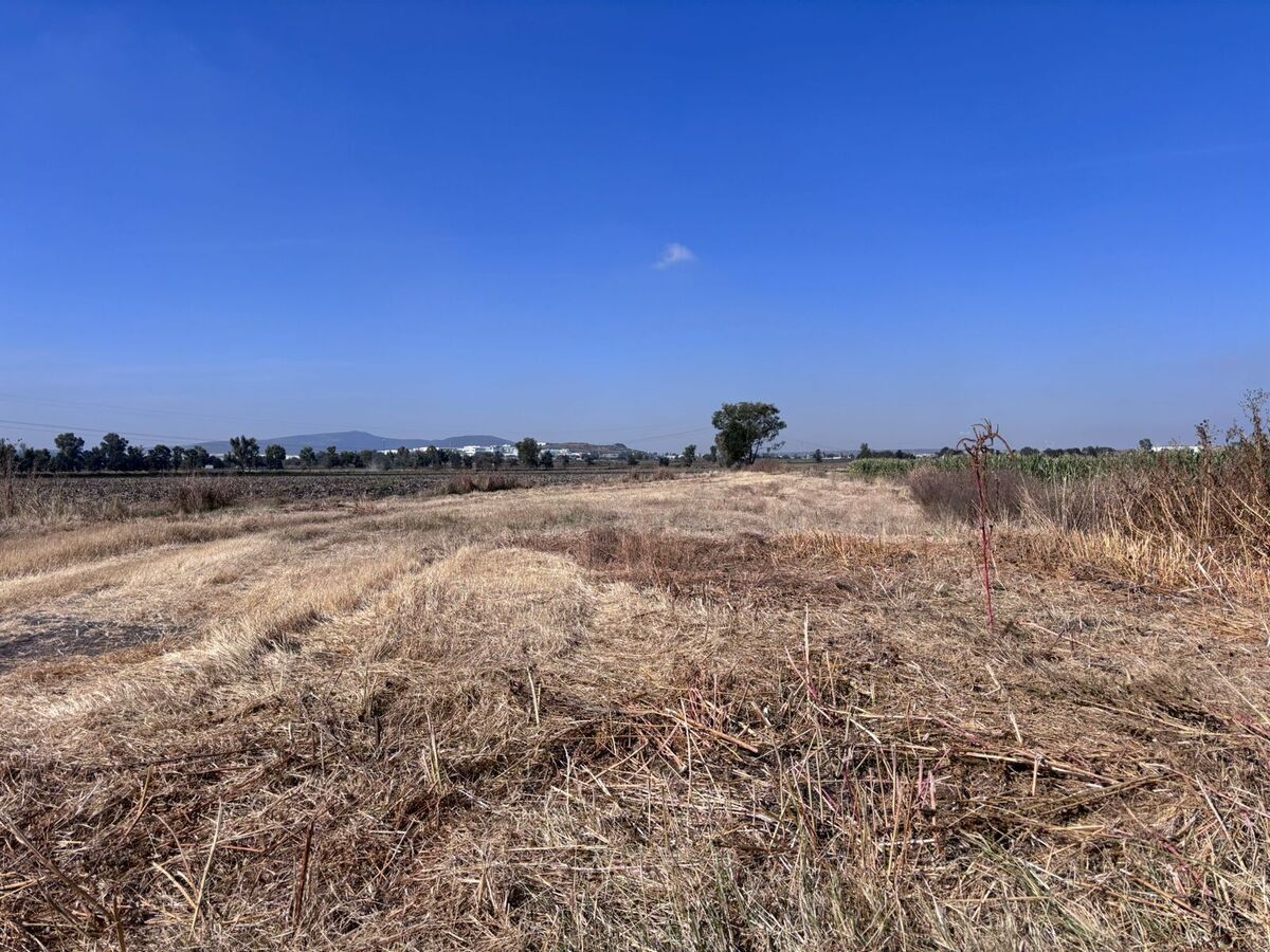 Lote em El Colorado, El Marqués, foto 4 de 12