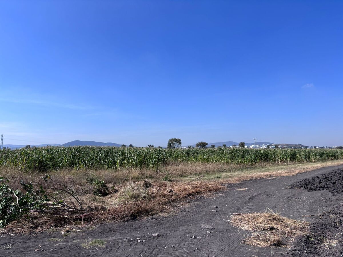 Lote em El Colorado, El Marqués, foto 5 de 12