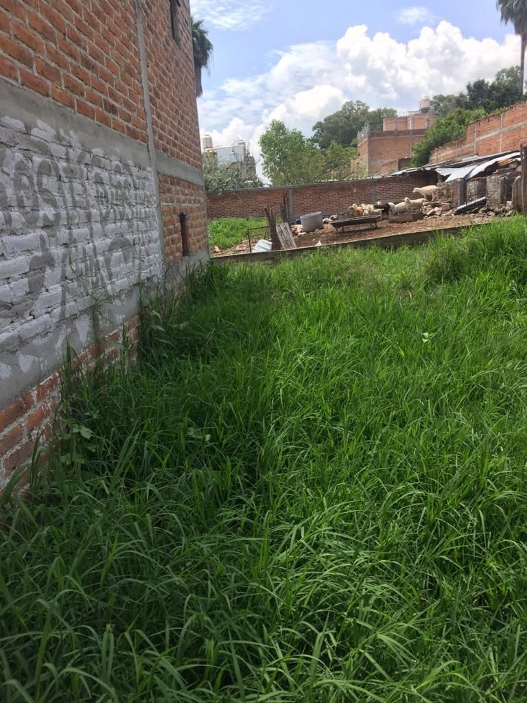 4 de 5