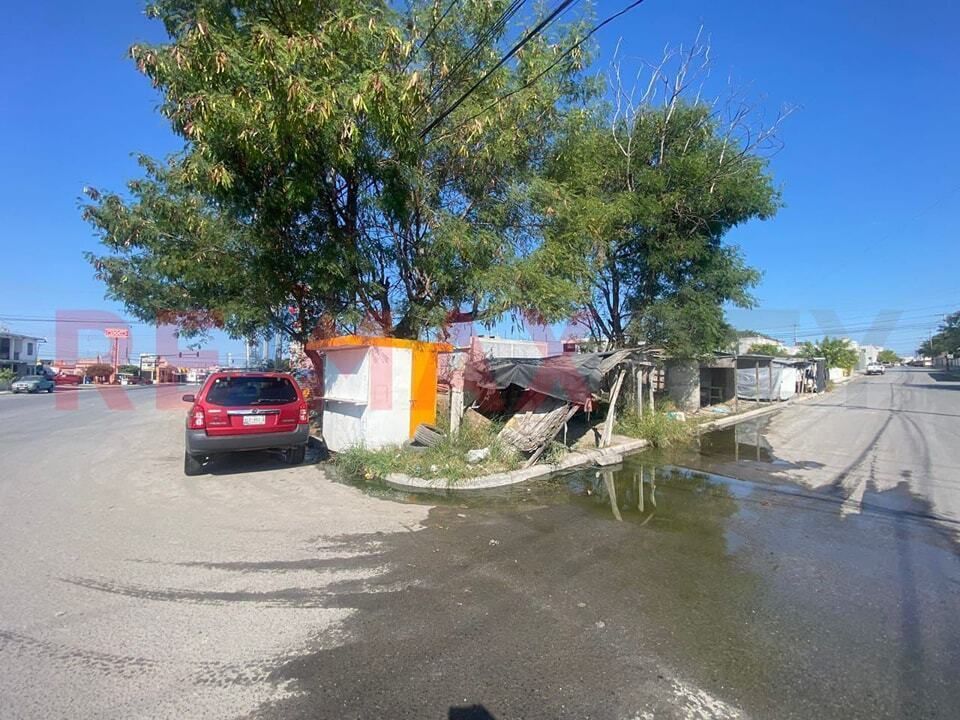 3 de 12
