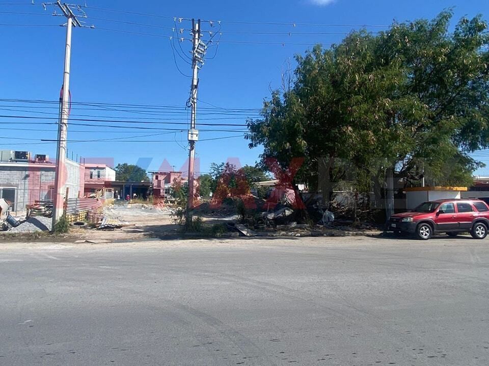6 de 12