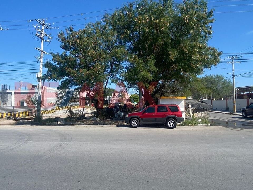 7 de 12