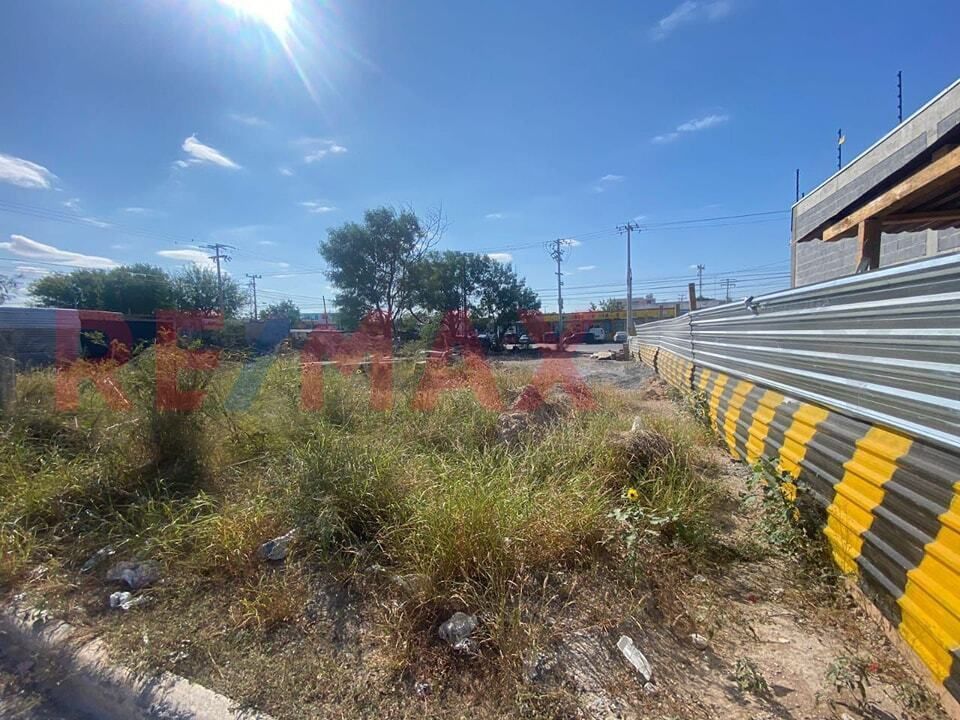8 de 12