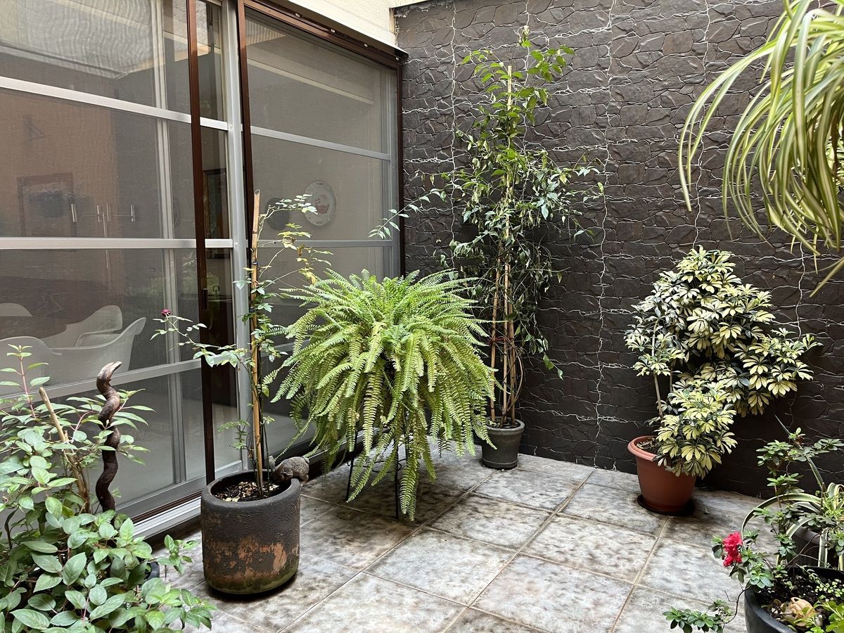 4 de 36: PATIO QUE DA A LA ESTANCIA