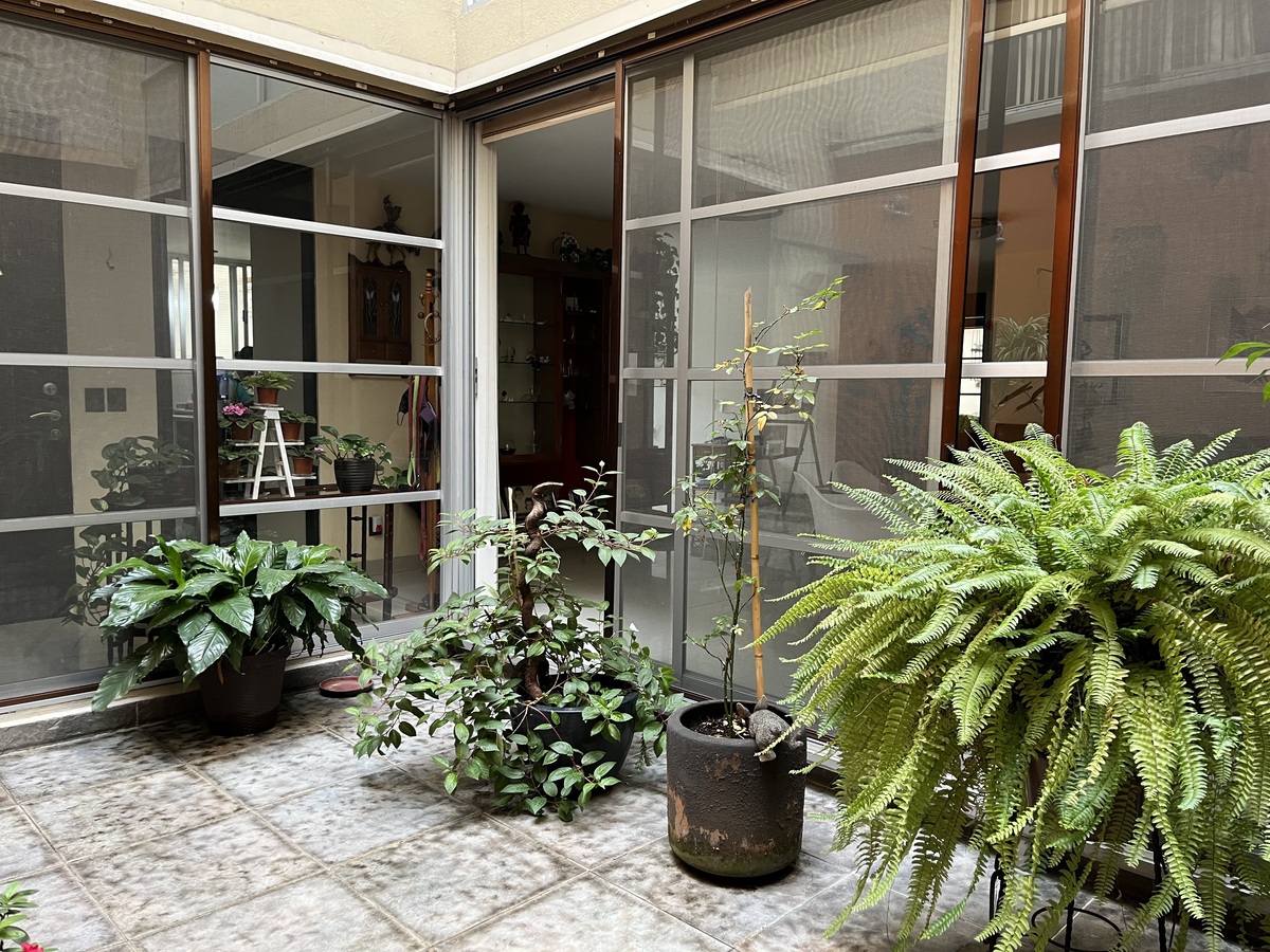 6 de 36: PATIO QUE DA A LA ESTANCIA