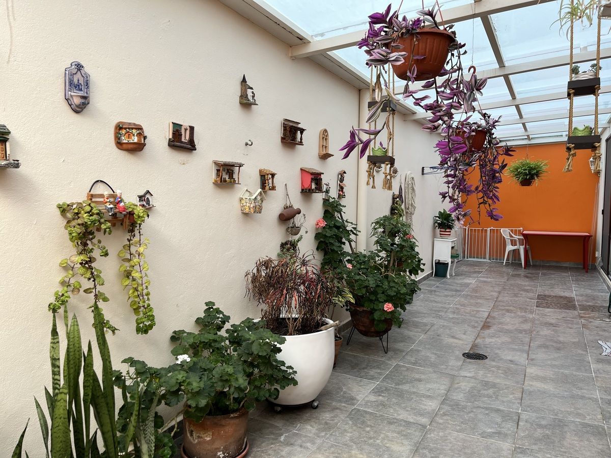 29 de 36: PATIO TRASERO TECHADOpatio trasero techado